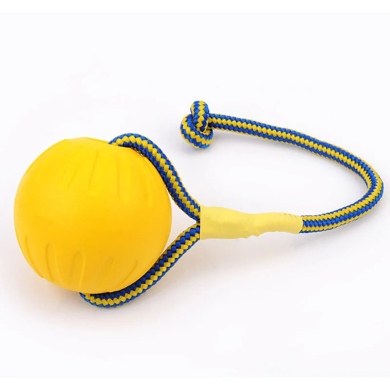 EVA Floating Pet Dog Training Ball Puppy Chew Toys