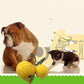 EVA Floating Pet Dog Training Ball Puppy Chew Toys