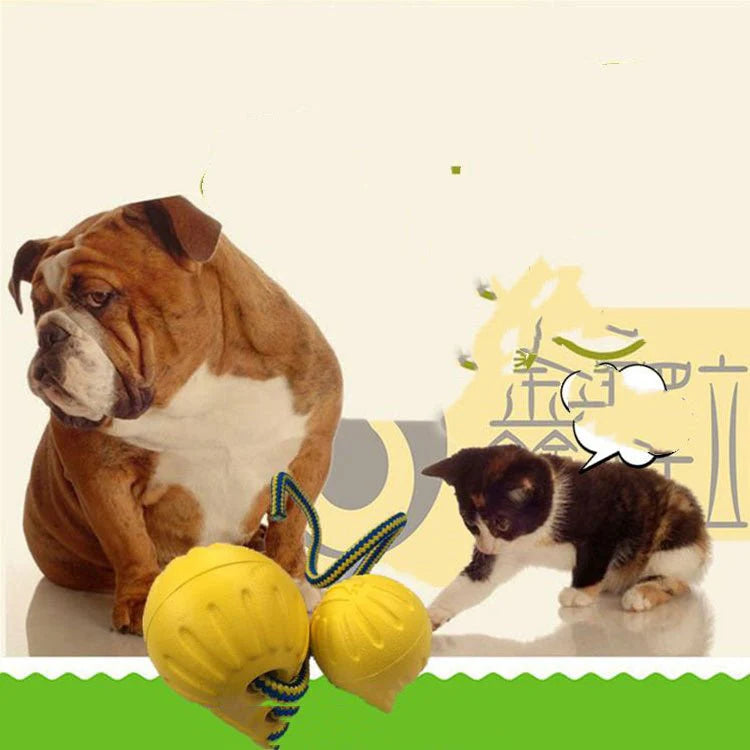 EVA Floating Pet Dog Training Ball Puppy Chew Toys