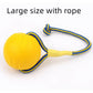 EVA Floating Pet Dog Training Ball Puppy Chew Toys